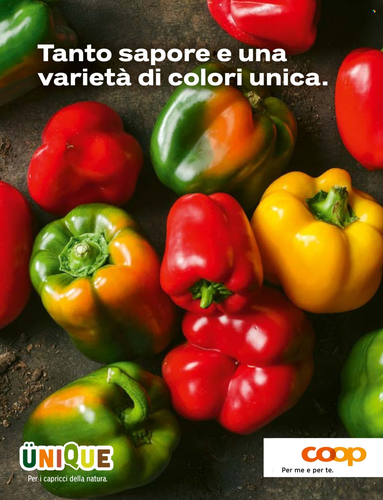 Prospekt Coop. Seite 61