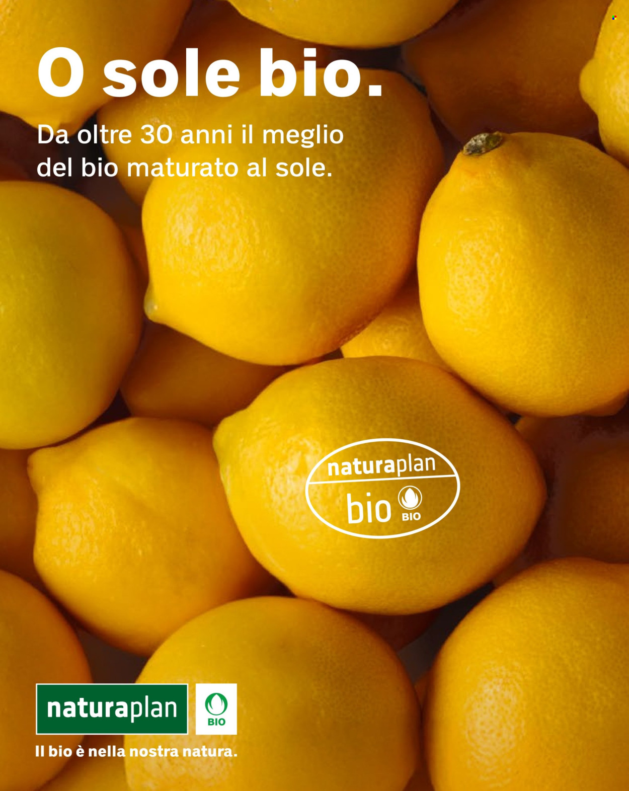 Prospekt Coop. Seite 2