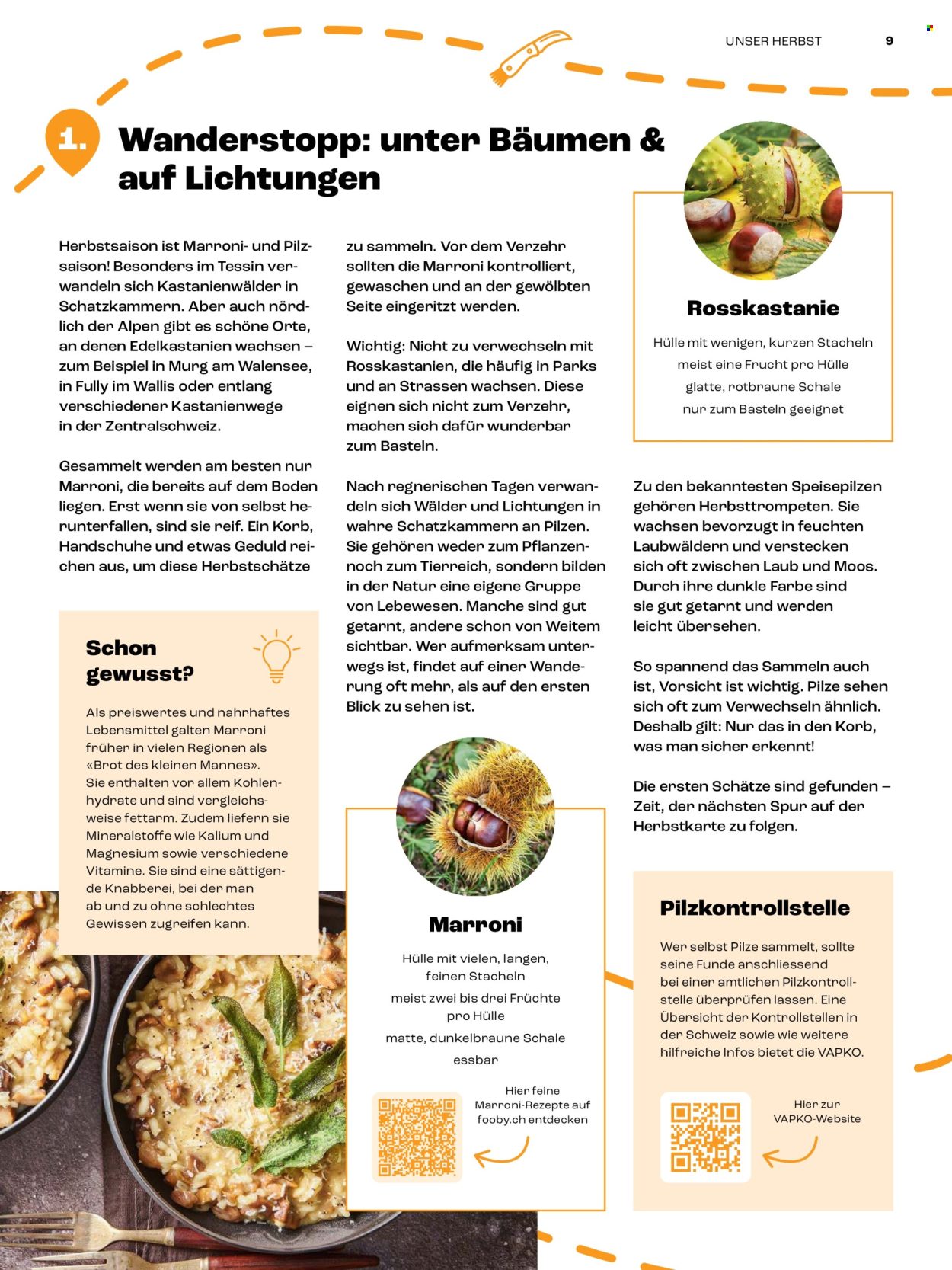 Prospekt Coop. Seite 9