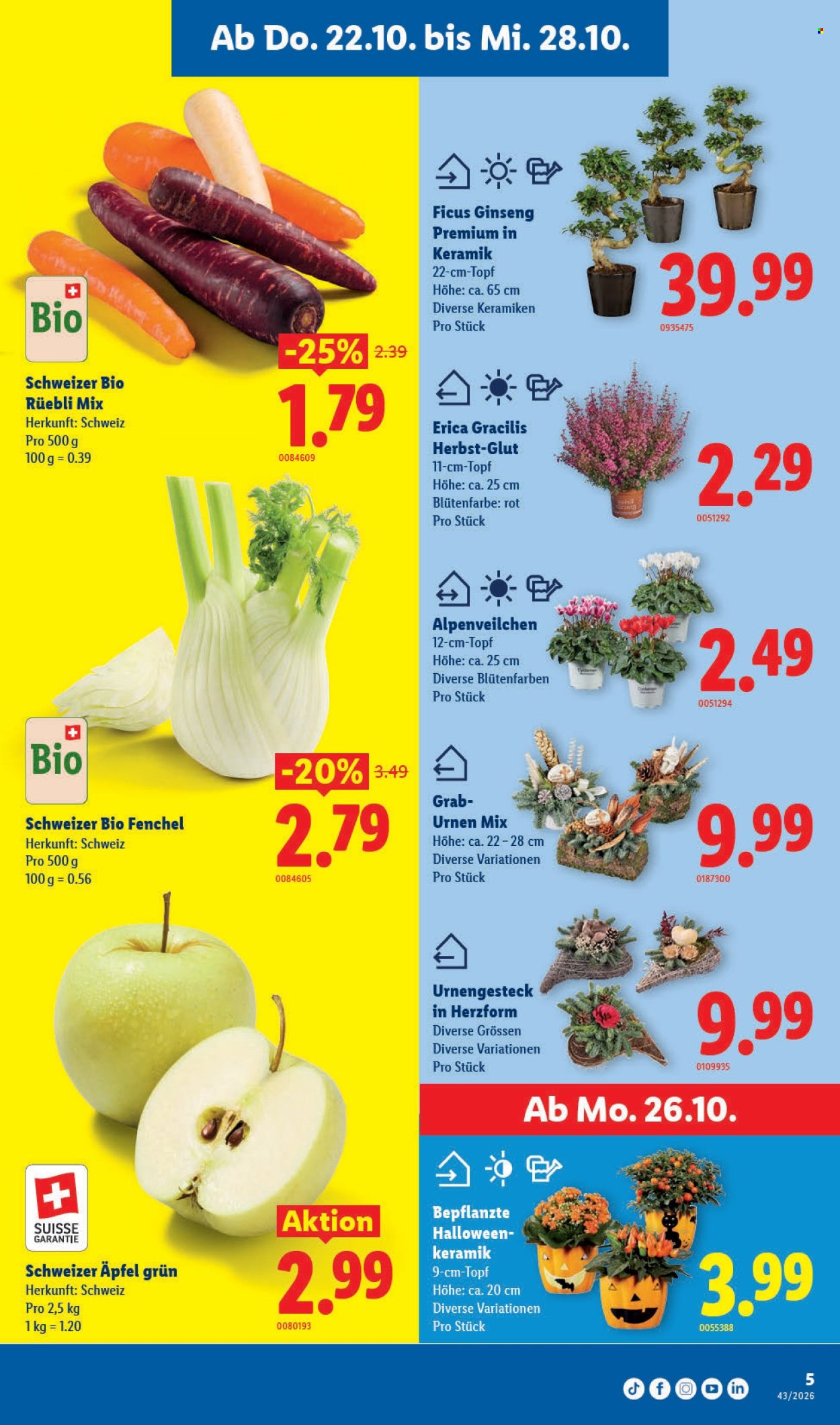 Prospekt Lidl - 22.10.2026 - 28.10.2026. Seite 5