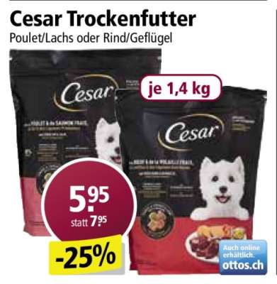 Cesar Trockenfutter