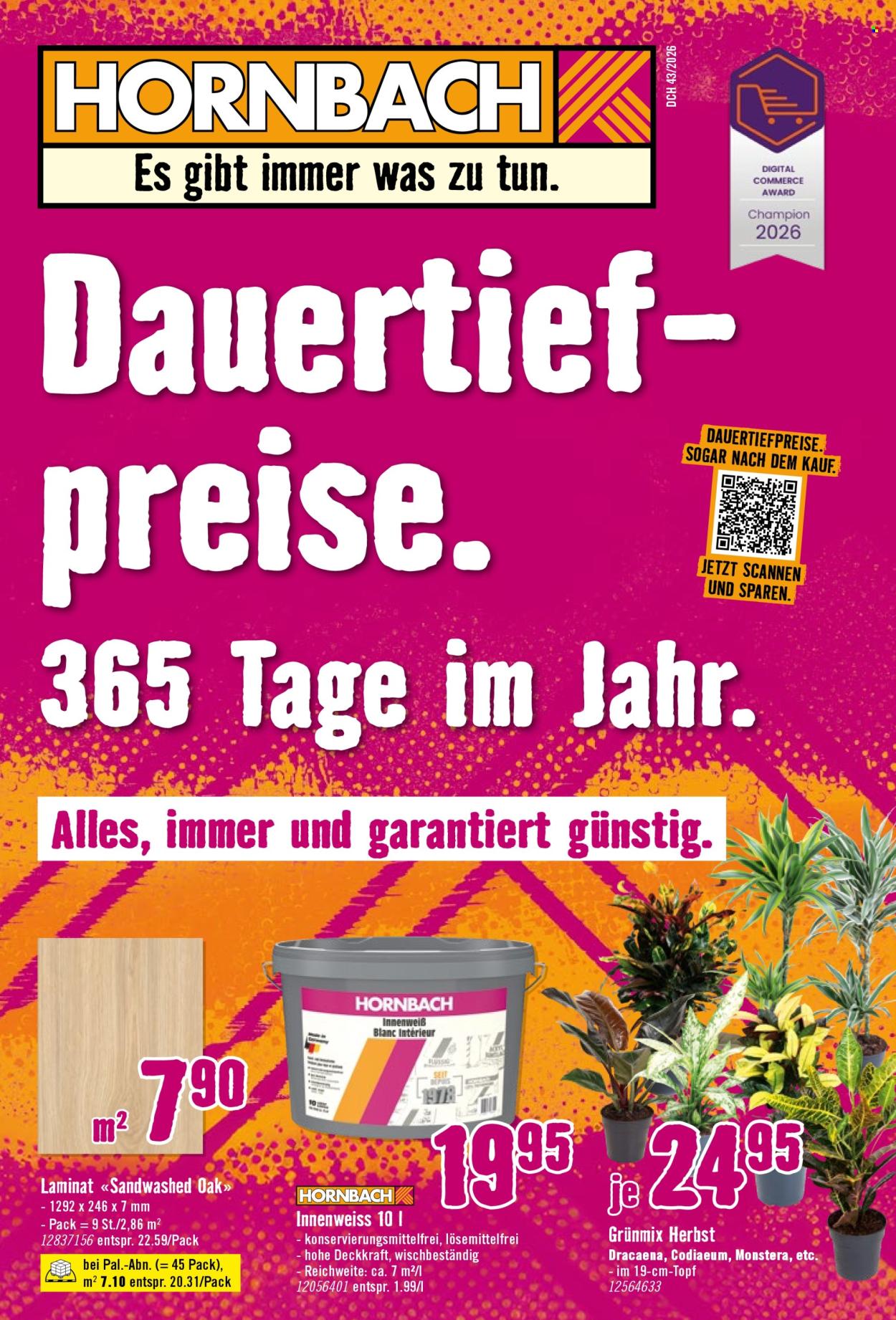 Prospekt Hornbach. Seite 1