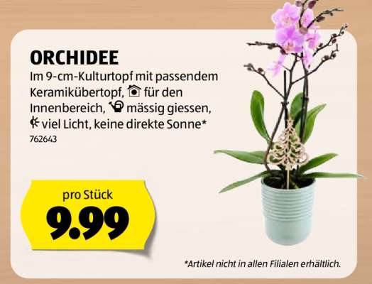 ORCHIDEE