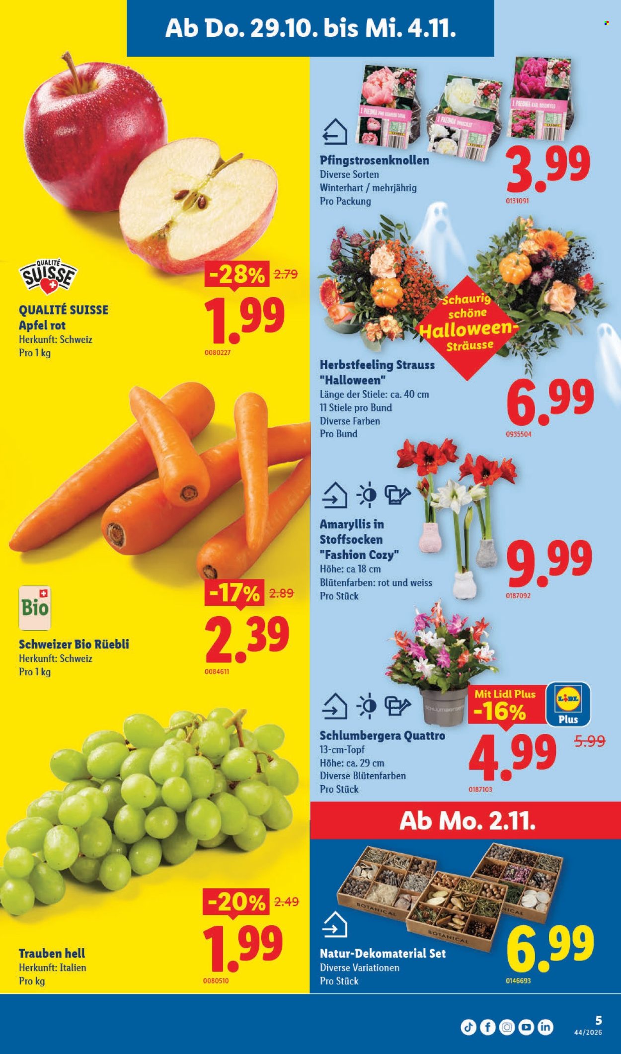 Prospekt Lidl - 29.10.2026 - 4.11.2026. Seite 5